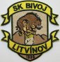 SK BIVOJ LITVÍNOV